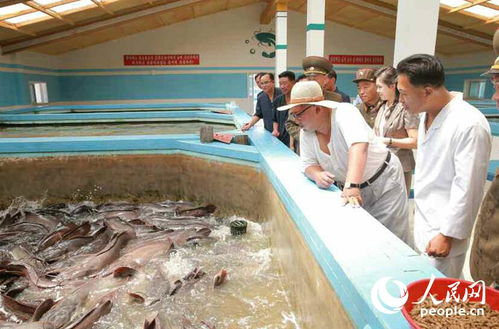 金正恩偕夫人視察鲇魚廠點(diǎn)贊品質(zhì)，稱贊鲇魚、肉類令人稱贊